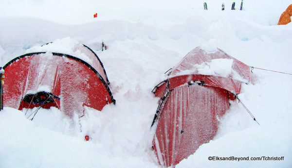 Lou and Louie's tent on the left, Mine and Caleb's on the right after over 30 inches of snow in just a few hours.