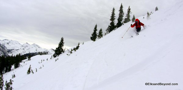 Anton knows how to pose for the camera I think.  More good snow...It's November!