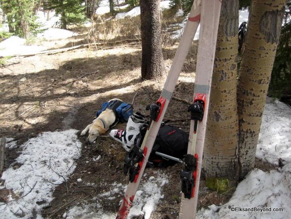 I skied all the way back down to snowline.  Hudson needed a nap.