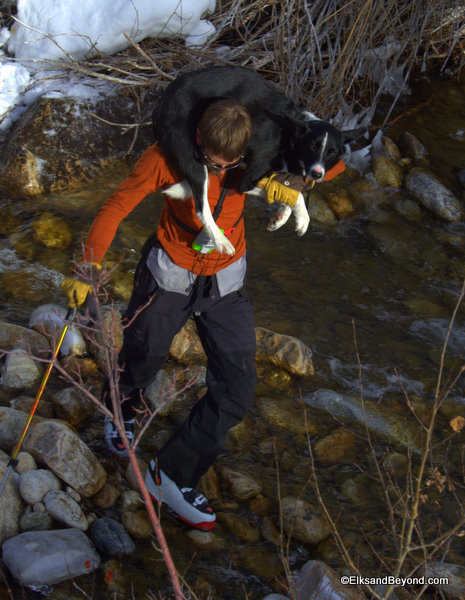 Crossing the river was probably the hurdle of the day.  Here, Dave trades dry feet for Enso, for wet feet for himself.  Photo-Anton Sponar