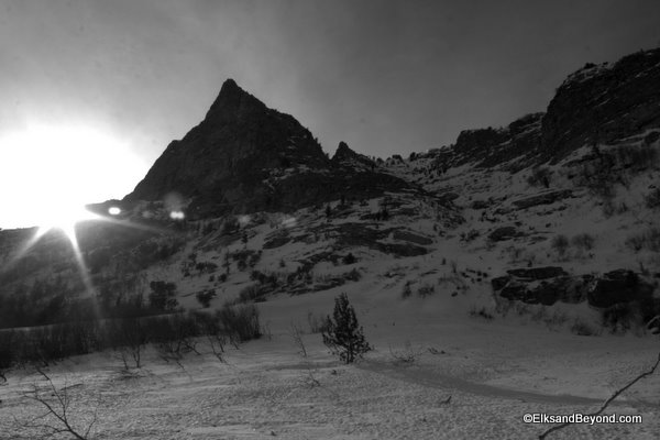 Walking up the apron, there is plenty of evidence of past avalanches.  Downed trees, avalanche debris, and bits of rock tell us to use caution in our endeavor.  Photo-Anton Sponar