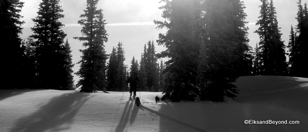 Approaching Treeline