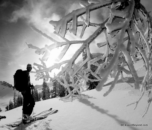 Rime Ice built up from the 40+ mph winds the night before.  Bad snow, good pics.