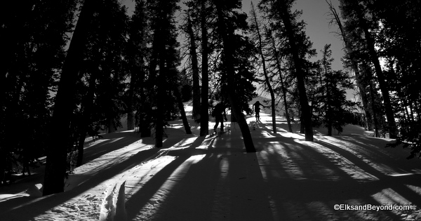 Breaking through treeline.  Climbing in the afternoon can make for cool light.