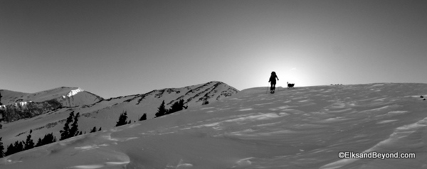 Dave and Enso lead the charge at the moment.  