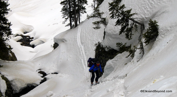 IMG_7812 Some interesting sections of skinning ensue.