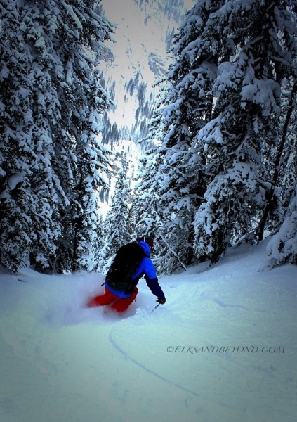 Anton finding fresh snow in the trees leading up to a nice chute.