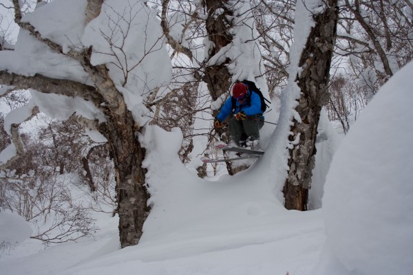 Another shot of Ty in the trees.