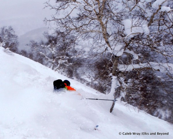 I'm there somewhere.  Too much skiing, not much time for pics.  So thats "what I got."  Cheers.