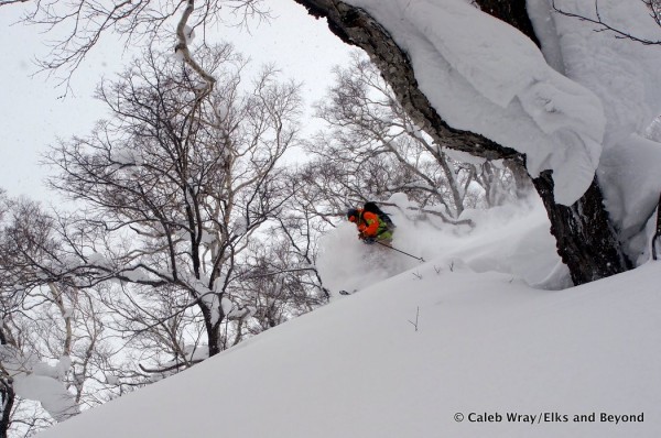 Jordan tends to bulldoze the snow, it moves at his sight.