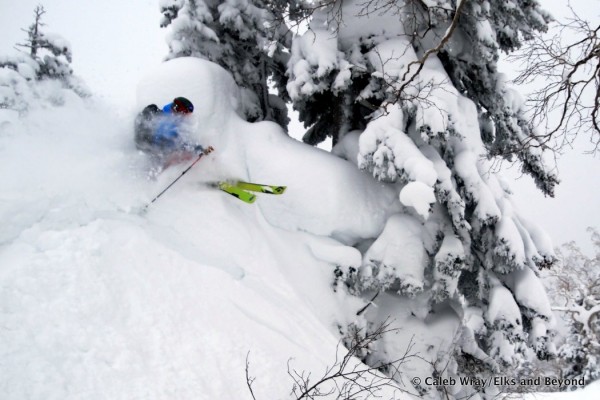 3 Anton found some below treeline putzing...