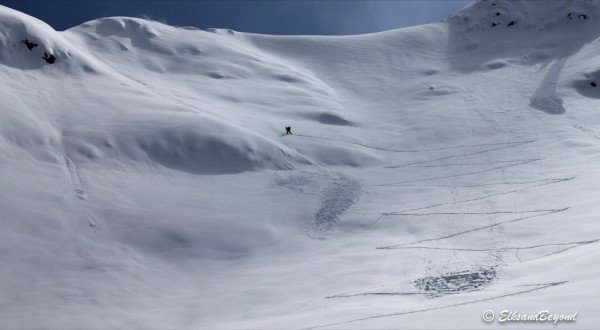 Yes, yes.  Anton still has his head down leading the way.  Sometimes you just know what you want.