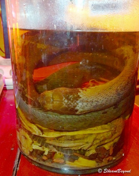 Snake Wine!  Elisabeth was stoked on this let me tell you.
