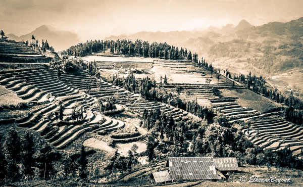 The rolling hills and endless terraces on the drive to Lung Phin Market are incredible.