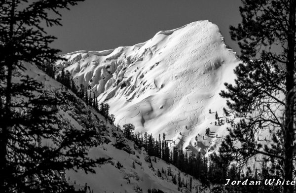 Looking around, one might think that avalanche conditions were low.