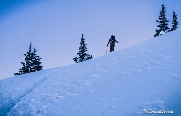 Anton breaking trail.