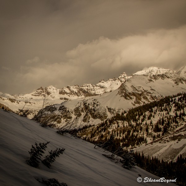 Early morning light never fails to impress.  Even when the snow isn't cooperating.