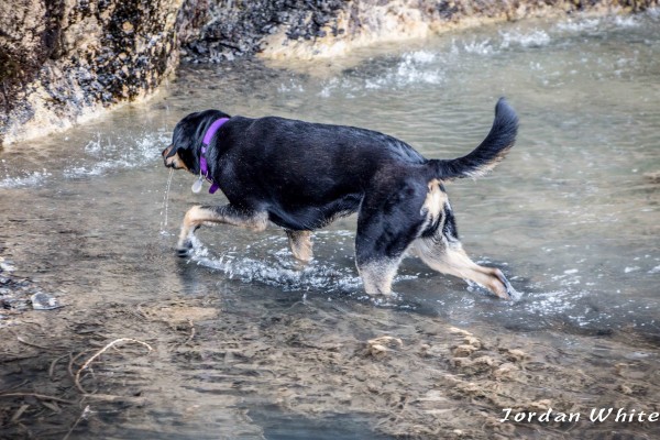 Warm enough for a dip